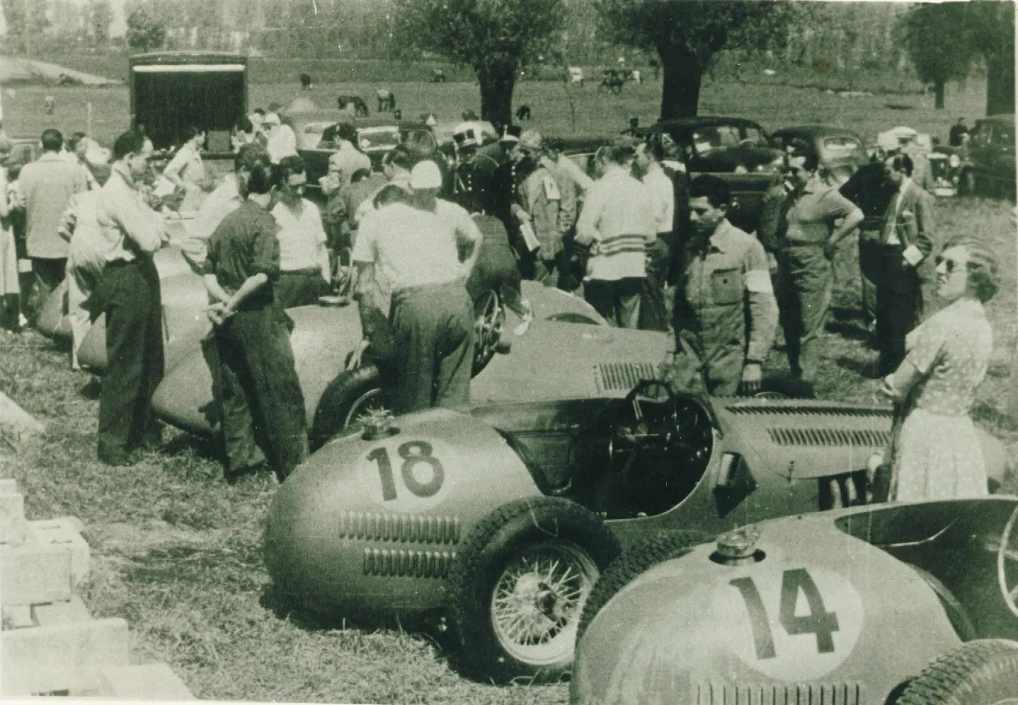 Paddock Spiennes